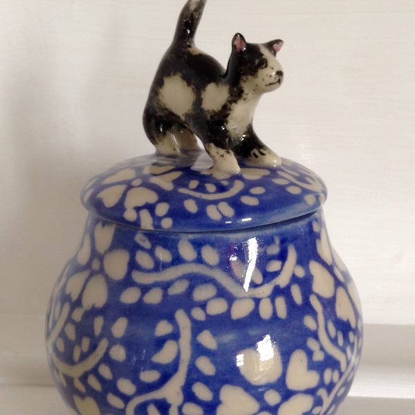 Storage jar with kitten lid