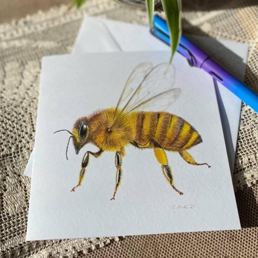 Honey Bee greetings cards pack of five