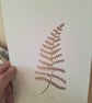 Fern leaf print. 'Fern' - Image 5