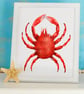 Cornish King Crab A4 Art Print - Cornwall Art Print - Image 3