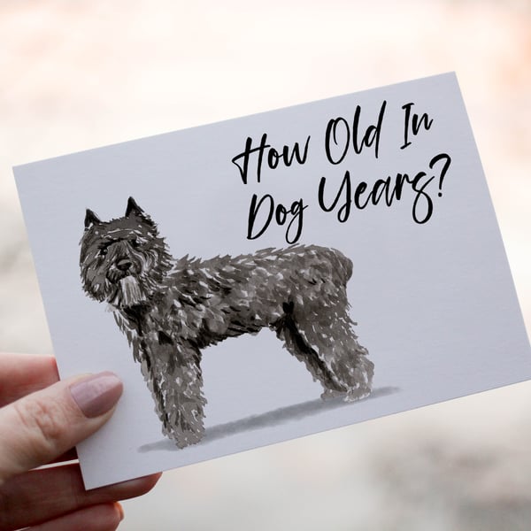 Bouvier Des Flandres Dog Birthday Card, Dog Birthday Card, Personalized