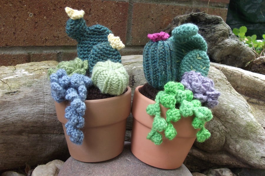 Cactus Garden. Handmade crocheted gift.