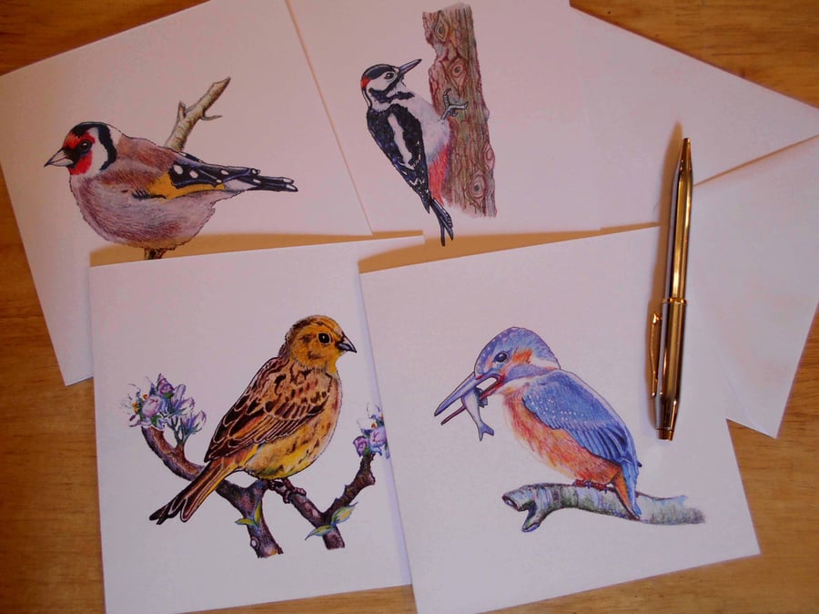Pack of 4 Assorted Handdrawn Bird Cards