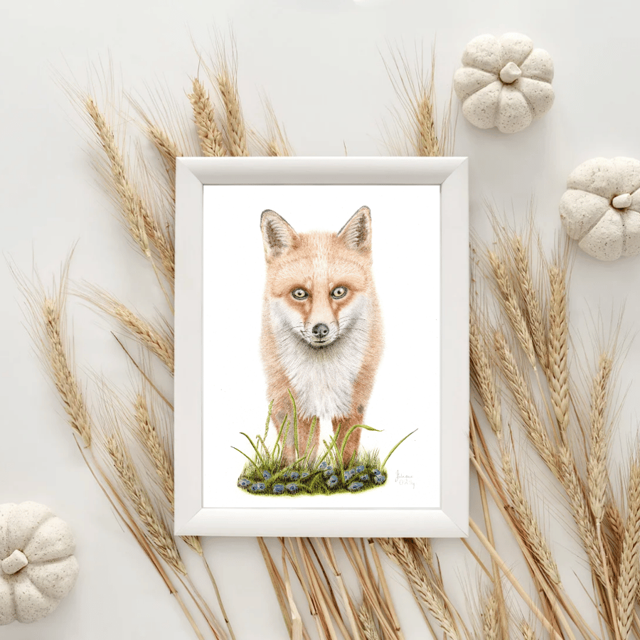 UNFRAMED Fox Drawing  Gilcee 