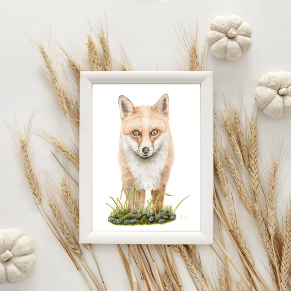  Fox Drawing  Gilcee Fine Art Print Limited Edition A4