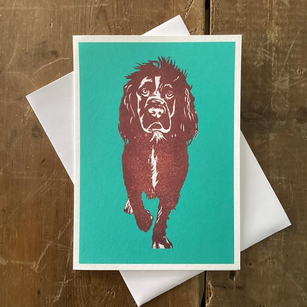 Spaniel Card perfectly imperfect 