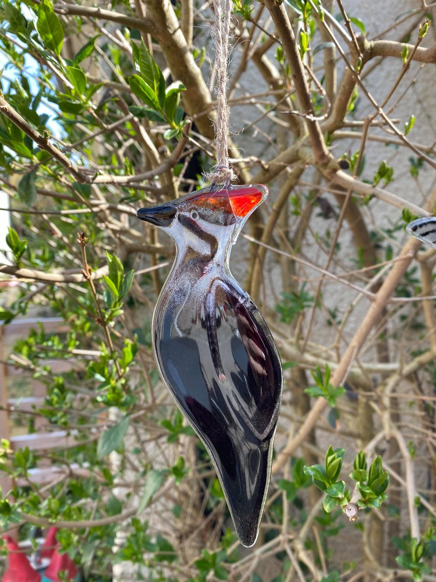 Fused Glass Birds, WOODPECKER bird lover gift, British bird, hanging bird