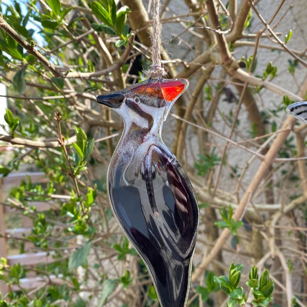 Fused Glass Birds, WOODPECKER bird lover gift, British bird, hanging bird