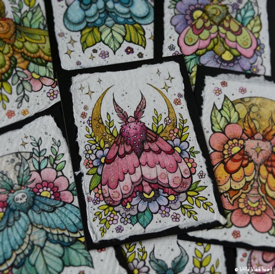 little moth - original aceo illustration