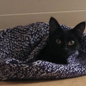 Crochet Crafty Corner