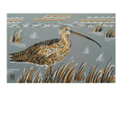 Curlew screenprint