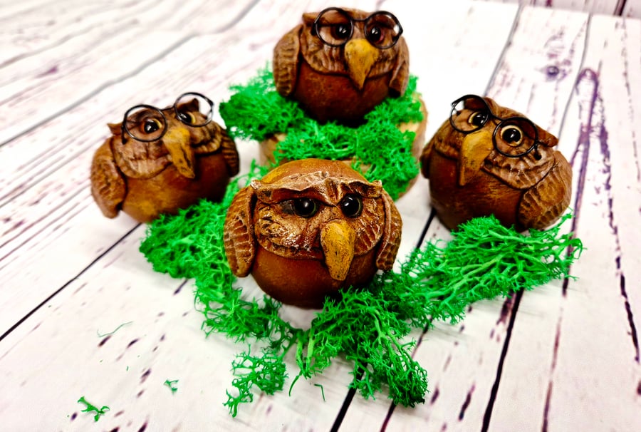 Wise little Owl - Little Wonders Range