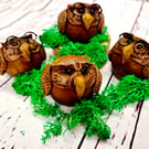 Wise little Owl - Little Wonders Range