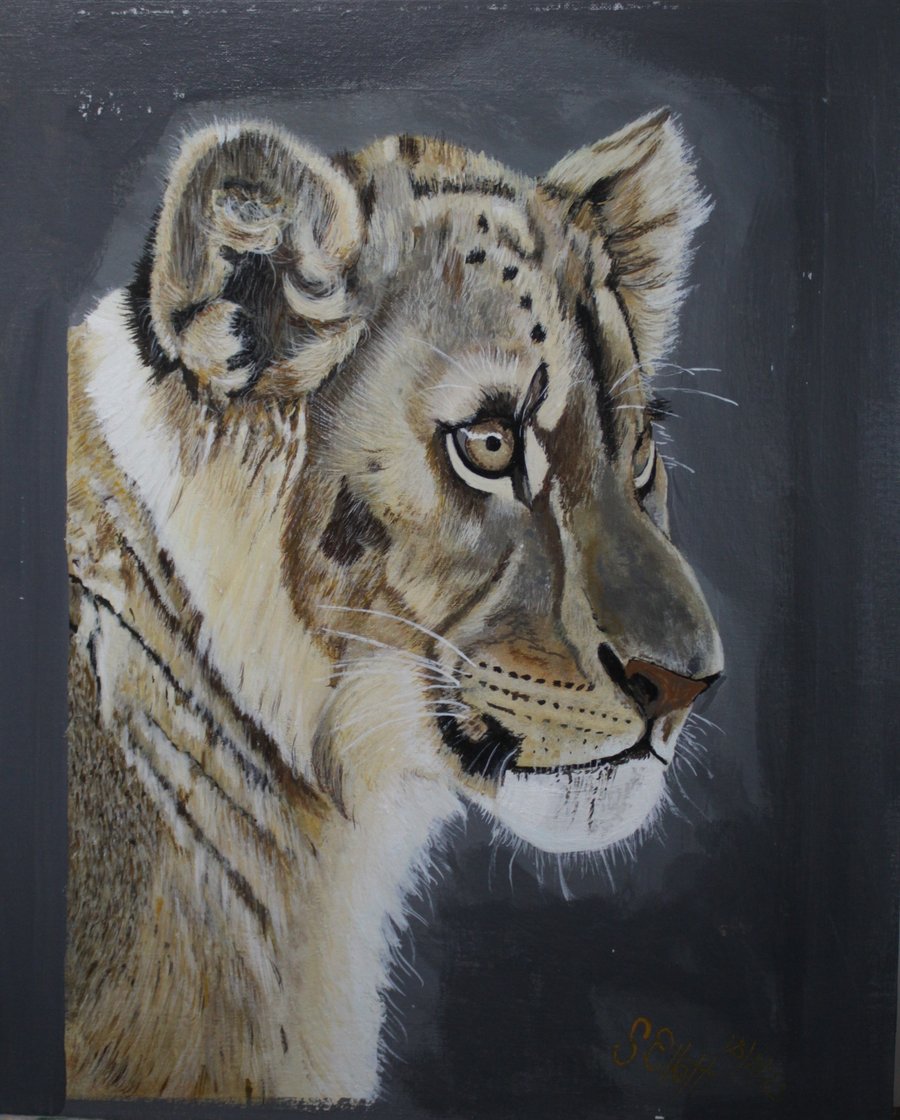 "Where's mummy with my dinner" Lion cub