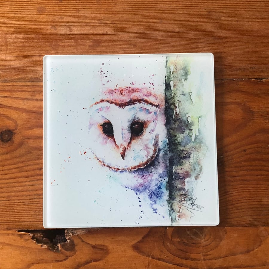 Barn Owl Glass Trivet, Owl Pot Stand, Table Mat, Placemat, Hot Plate Table Prote