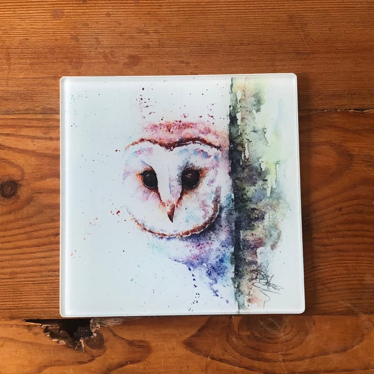 Barn Owl Glass Trivet, Owl Pot Stand, Table Mat, Placemat, Hot Plate Table Prote