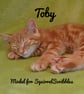 Funny orange cat birthday card, Ginger cat card, Cat mum card, Cat dad card - Image 7