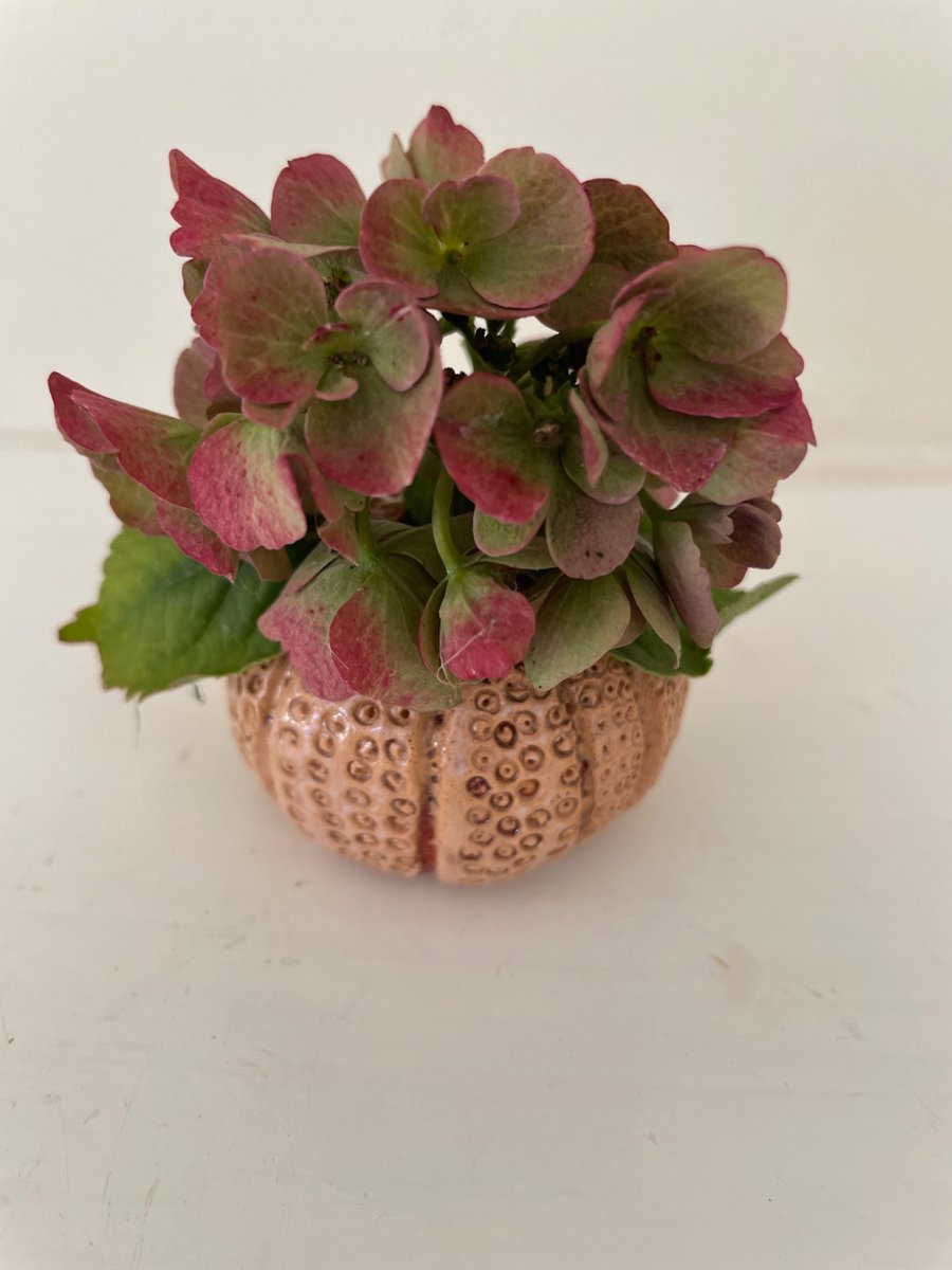 Sea urchin styled vase hand built in stoneware
