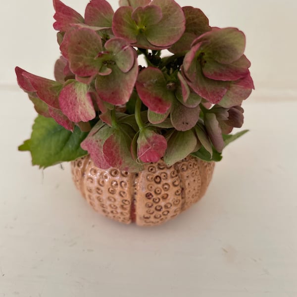 Sea urchin styled vase hand built in stoneware