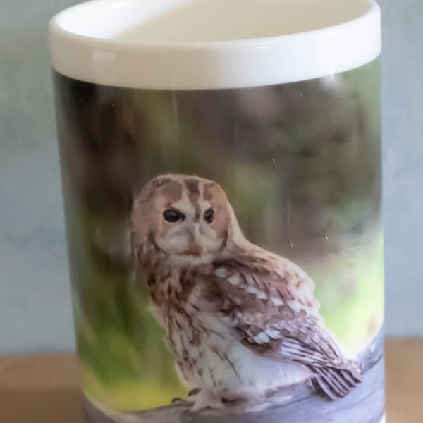 Porcelain Mug - Tawny Owl