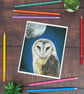 Perfectly Imperfect Fine Art Print of "Queen of the Night" Owl and Moon SAMPLE