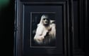 Gothic/Horror/Dark Art