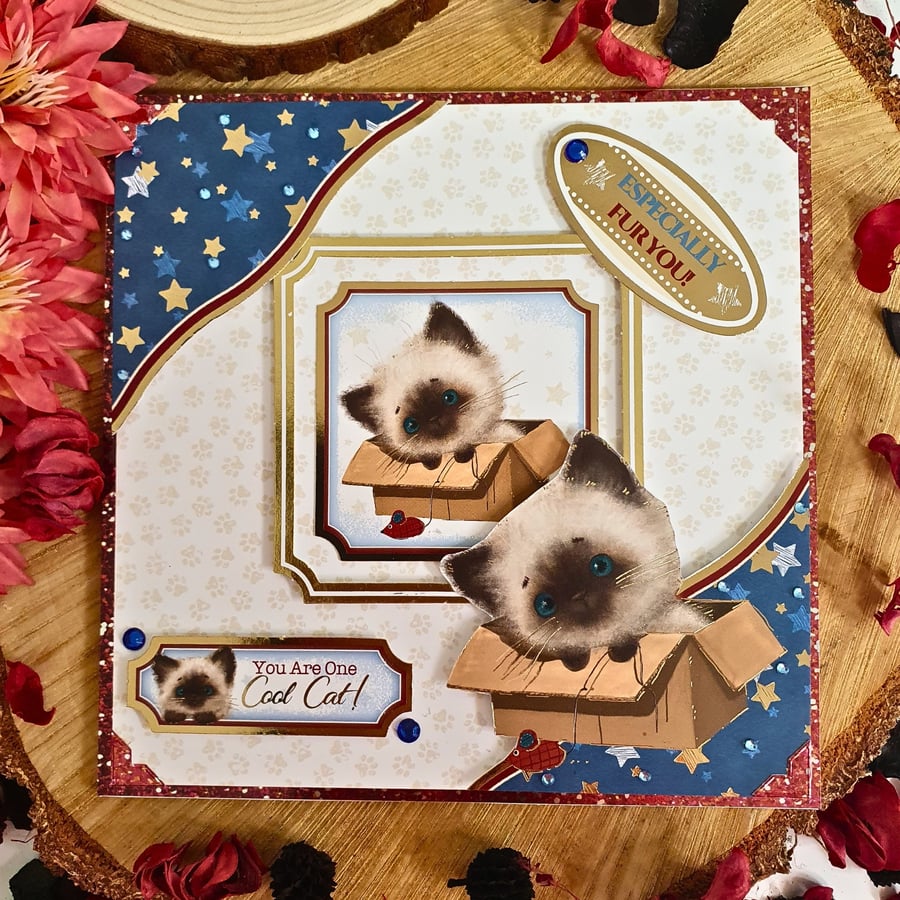 Cat Themed Handmade Card For Many Occasions, With Kitten Inside A Parcel Box