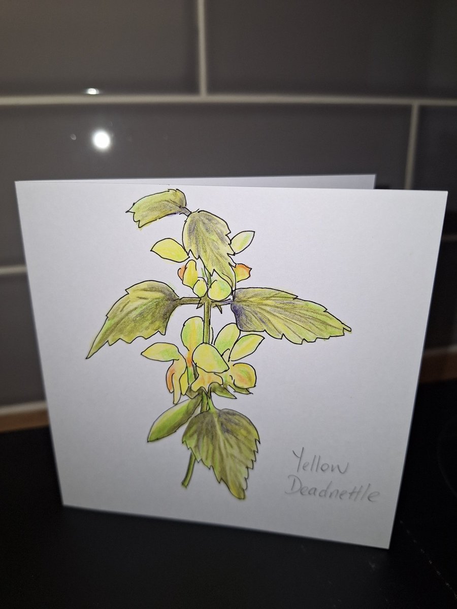Original Handpainted Greetings Card- Yellow Deadnettle