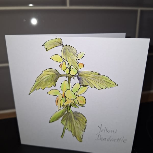 Original Handpainted Greetings Card- Yellow Deadnettle