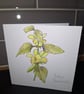 Original Handpainted Greetings Card- Yellow Deadnettle