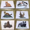 British Wildlife - set of 5 blank greeting cards