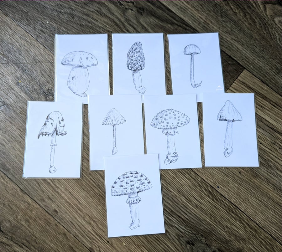 Set of 8 Mushroom Illustrations ACEOs