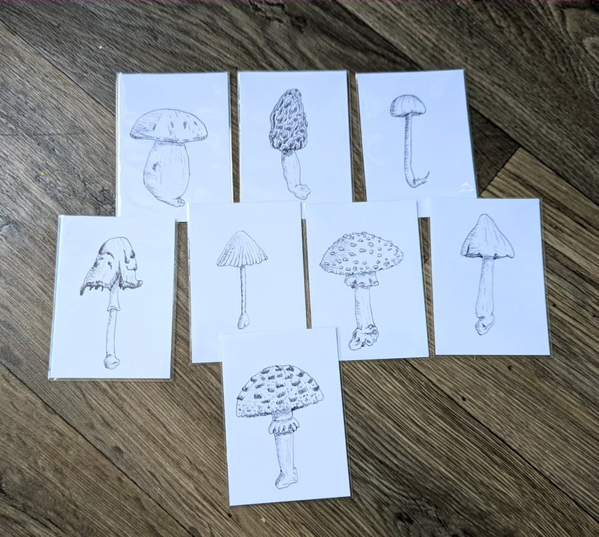 Set of 8 Mushroom Illustrations ACEOs