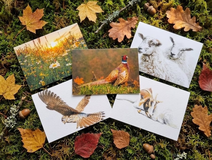 Just because wildlife series