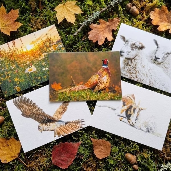 Just because wildlife series