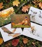 Just because wildlife series - Image 1