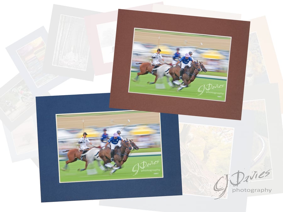 CJ190 - Polo at Cowdray