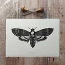 Death's Head Hawk Moth Lino Print 