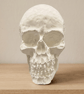 Tiny Stonecast White Skull - Macabre Halloween Decoration Suitable for Painting - Image 4