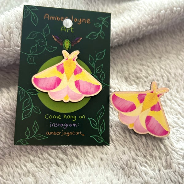 Rosy Maple Moth Pin