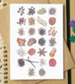 Spices Food Alphabet Greetings Card - Image 1