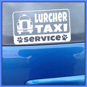 Lurcher TAXI SERVICE – Vinyl Car Decal  Bumper Sticker