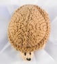 Mini Knitted Sea Turtle Toy - Small World - Collectable - Image 5