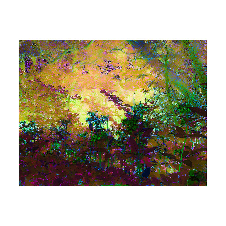 River Light, Art Photograph