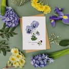 Botanical Pansy Greetings Card