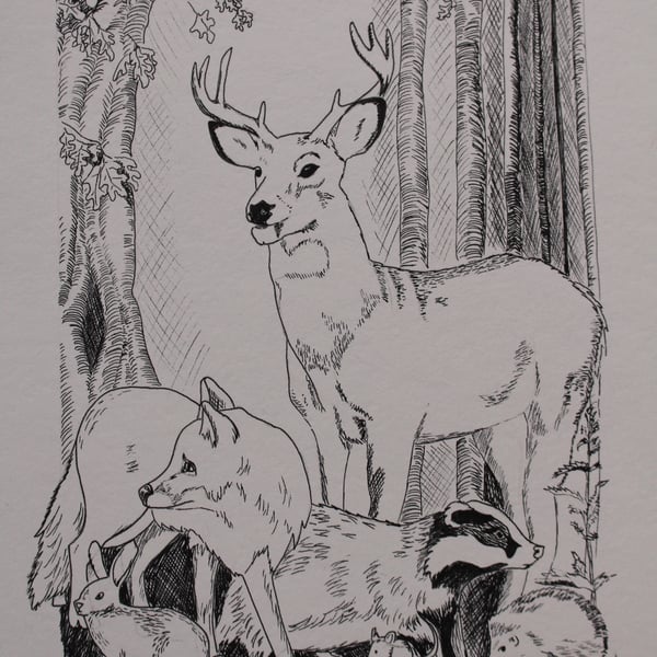 Woodland animals