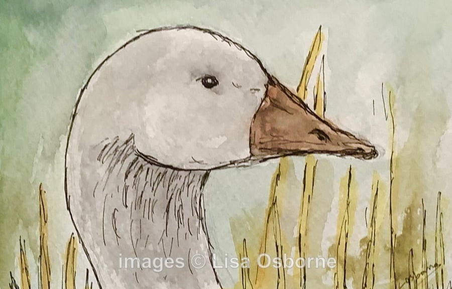 White goose - original painting, pen, ink and watercolour