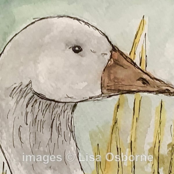 White goose - original painting, pen, ink and watercolour