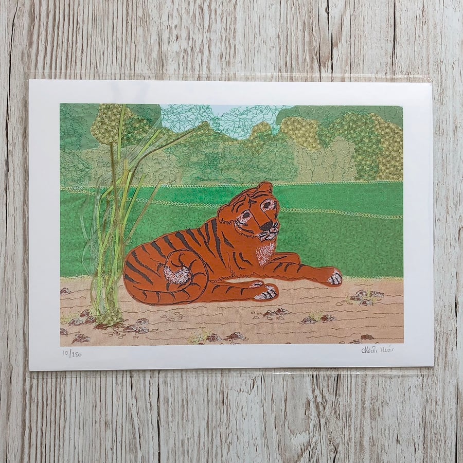 Tiger print - zoo animal art picture of reclining tiger - safari art africa art