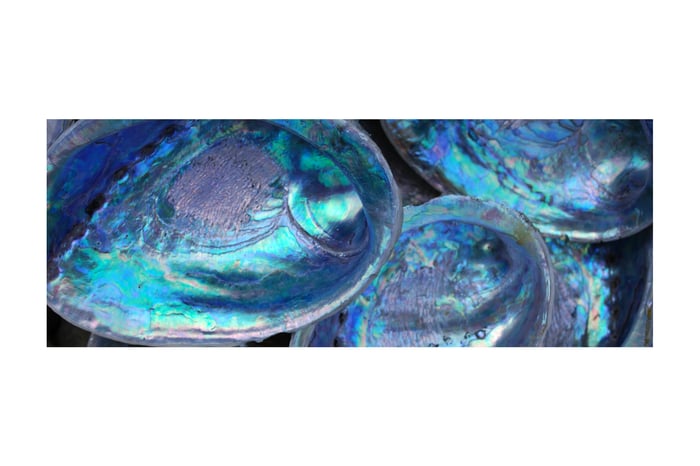 Paua Crafts